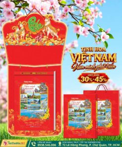 Bloc Siêu Cực Đại Đặc Biệt Tinh Hoa Việt Nam Vươn Mình Phát Triển