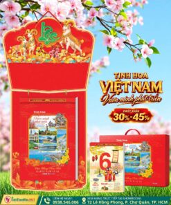 Bloc Siêu Đại Tinh Hoa Việt Nam Vươn Mình Phát Triển